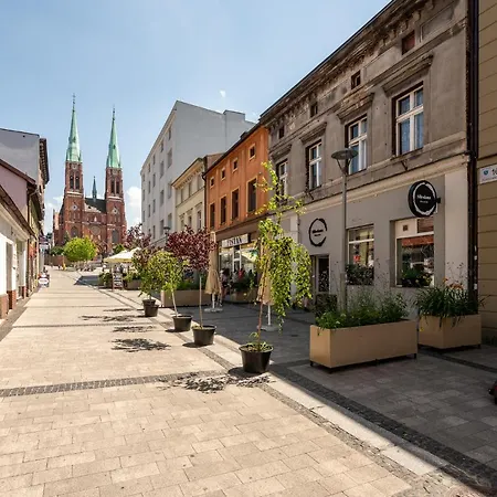 Platinum 20 Z Aneksem Kuchennym Apartmán Rybnik (Silesia)