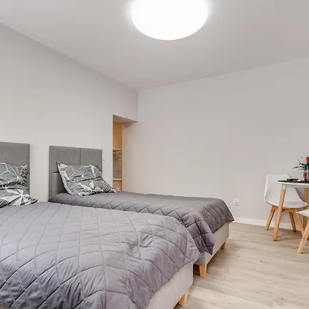 Platinum 20 ריבניק