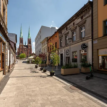 Platinum 20 Z Aneksem Kuchennym Apartment Rybnik (Silesia)