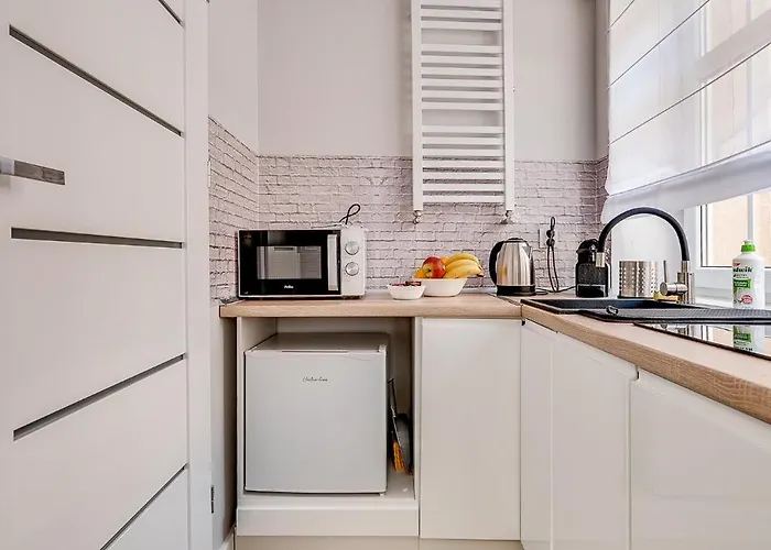 Platinum 20 Z Aneksem Kuchennym Apartmán Rybnik (Silesia)